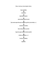 Prakses atskaite 'Atskaite par mācību praksi AS "Rīgas Miesnieks"', 6.