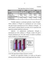 Diplomdarbs 'Sabiedriskās organizācijas sociāli ekonomiskās darbības analīze un attīstības pe', 17.