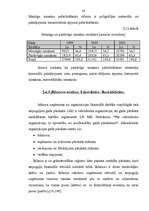 Diplomdarbs 'Sabiedriskās organizācijas sociāli ekonomiskās darbības analīze un attīstības pe', 24.