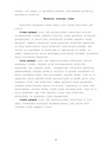 Referāts 'Darbspējas atkarība no cilvēka asinsspiediena', 45.