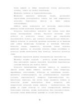 Referāts 'Darbspējas atkarība no cilvēka asinsspiediena', 61.