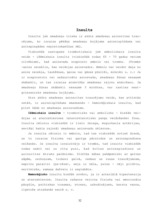 Referāts 'Darbspējas atkarība no cilvēka asinsspiediena', 67.