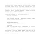 Referāts 'Darbspējas atkarība no cilvēka asinsspiediena', 68.