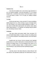 Referāts 'Ozona slāņa noārdīšanās', 7.