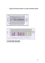 Referāts 'Ozona slāņa noārdīšanās', 19.