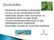 Prezentācija 'Karbonskābes', 7.
