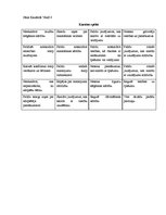 Paraugs 'Mācību stundas plāns sociālajās zinībās 9.klasei par tēmu "Civillikums"', 3.