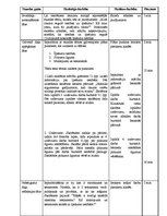 Paraugs 'Mācību stundas plāns sociālajās zinībās 9.klasei par tēmu "Civillikums"', 5.