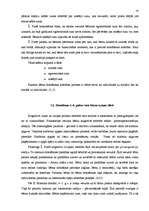 Referāts 'Rotaļas 4-6 gadu vecu bērnu domāšanas attīstībā', 10.