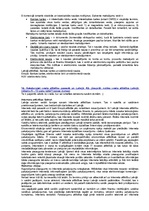 Konspekts 'Atbildes uz jautājumiem e-komercijā', 7.