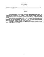 Referāts 'Darba līgums, tā izbeigšanas kārtība. Uzteikumi', 2.