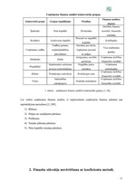 Referāts 'A/s "Valmieras stikla šķiedra" finanšu darbības un stratēģijas analīze', 11.