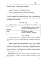 Referāts 'A/s "Valmieras stikla šķiedra" finanšu darbības un stratēģijas analīze', 41.