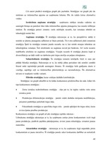 Referāts 'A/s "Valmieras stikla šķiedra" finanšu darbības un stratēģijas analīze', 49.