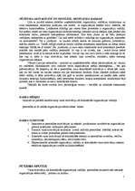 Referāts 'Varas motivācija vadītāja personībā un tās ietekme efektīvas organizācijas darbī', 3.