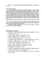 Referāts 'Varas motivācija vadītāja personībā un tās ietekme efektīvas organizācijas darbī', 6.