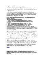 Eseja 'PSRS sabrukums - likumsakarība vai nejaušība?', 3.