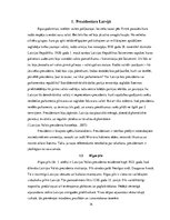 Referāts 'Latvijas valsts prezidenti', 14.