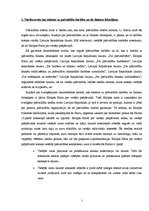 Diplomdarbs 'Pašvaldību finanšu līdzekļi', 7.