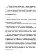 Diplomdarbs 'Pašvaldību finanšu līdzekļi', 16.