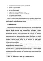 Diplomdarbs 'Pašvaldību finanšu līdzekļi', 26.