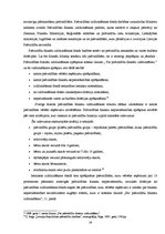 Diplomdarbs 'Pašvaldību finanšu līdzekļi', 29.