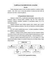 Referāts 'Vadītāja kompetences analīze', 1.