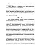 Referāts 'Vadītāja kompetences analīze', 5.