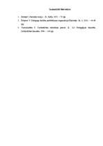 Eseja 'Skolotāja profesionalitāte', 4.