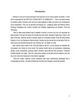 Referāts 'Tourism in Germany', 2.