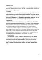 Referāts 'Tourism in Germany', 8.