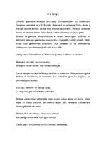 Referāts 'Meteņi', 1.