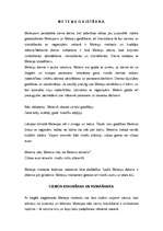 Referāts 'Meteņi', 2.