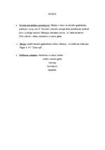 Referāts 'Meteņi', 5.