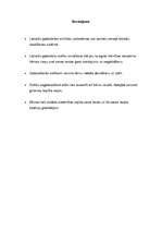 Referāts 'Meteņi', 10.