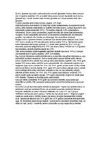 Konspekts 'Minoritātes Latvijā', 4.