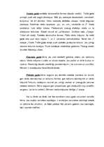 Konspekts 'Bērnu runas un valodas attīstība ontoģenēzē', 3.