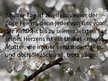 Prezentācija 'Mutter Tag', 3.