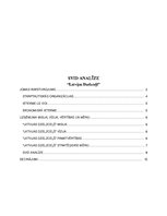 Konspekts 'Uzņēmuma "Latvijas dzelzceļš" SVID analīze', 1.