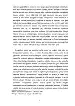 Konspekts 'Etnogrāfs Teilors', 3.