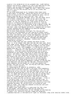 Eseja 'Halloween', 3.