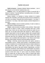 Referāts 'Optiskie instrumenti', 1.