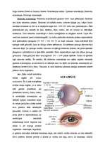 Referāts 'Optiskie instrumenti', 3.