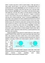 Referāts 'Optiskie instrumenti', 4.