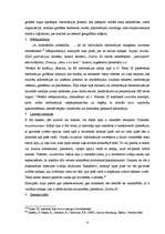 Referāts 'ES informācijas aģentūras tīkla analīze informācijas sabiedrības teoriju konteks', 8.