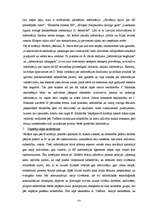 Referāts 'ES informācijas aģentūras tīkla analīze informācijas sabiedrības teoriju konteks', 10.