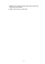 Referāts 'ES informācijas aģentūras tīkla analīze informācijas sabiedrības teoriju konteks', 12.