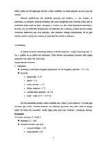 Referāts 'Inovatīvs risinājums uzņēmējdarbības uzlabošanai SIA "Pulsante Latvia" - anellos', 8.