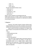 Referāts 'Inovatīvs risinājums uzņēmējdarbības uzlabošanai SIA "Pulsante Latvia" - anellos', 9.