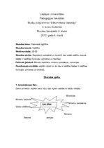 Konspekts 'Sociālo zinību stundas plāns 9.klasei', 1.